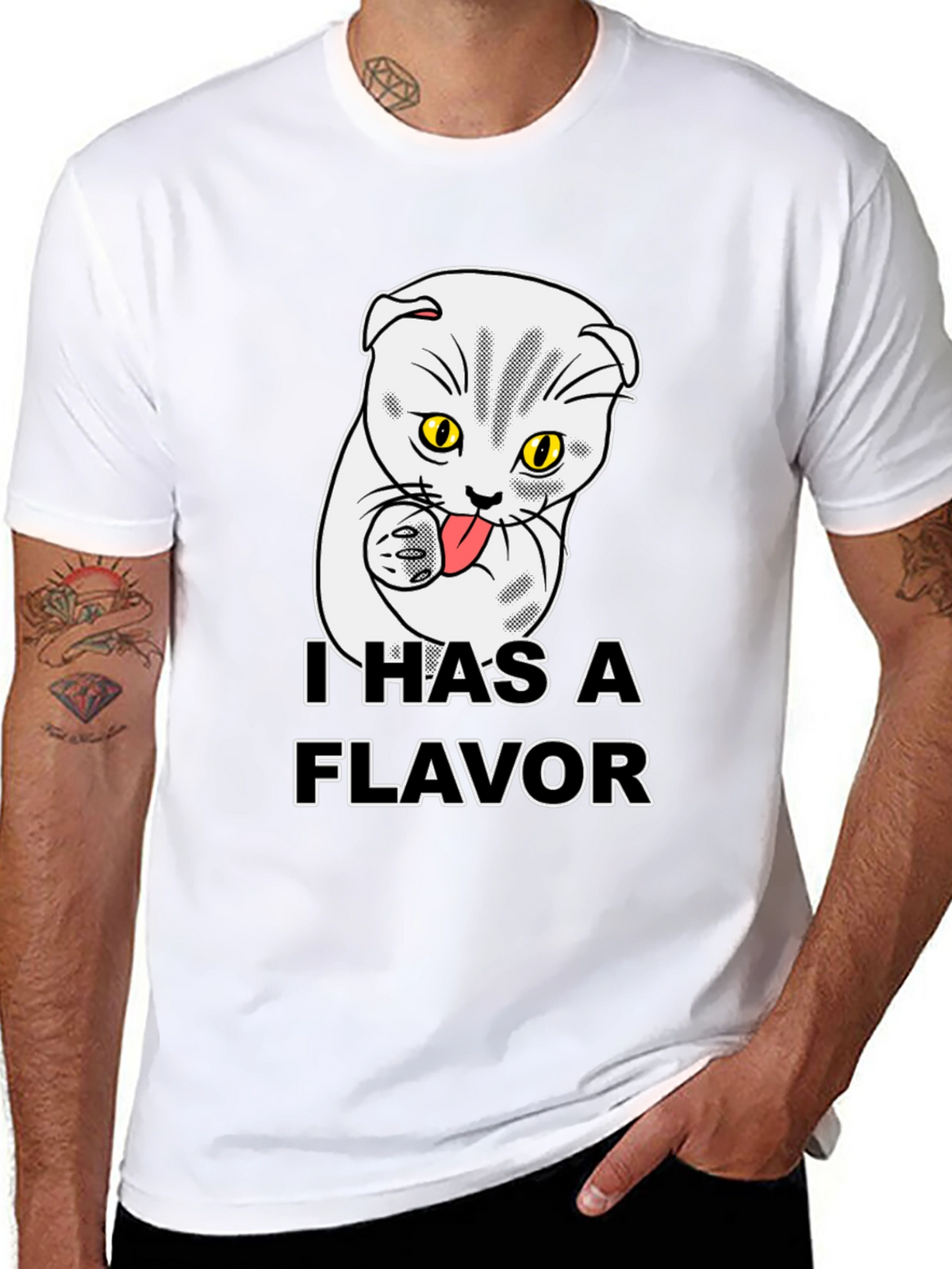 I Has A Flavor Funny Cat T-Shirt