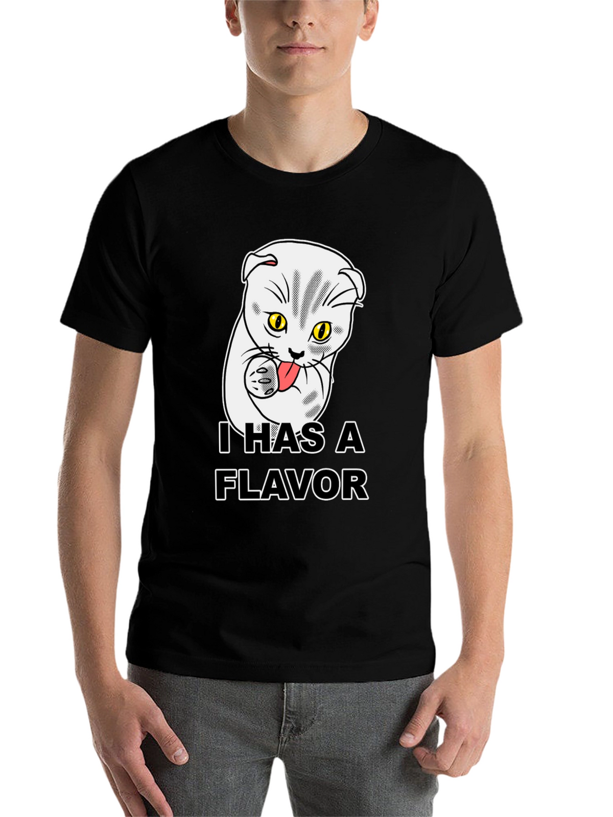 I Has A Flavor Funny Cat T-Shirt