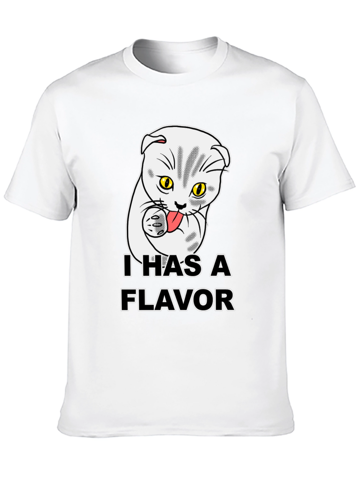 I Has A Flavor Funny Cat T-Shirt