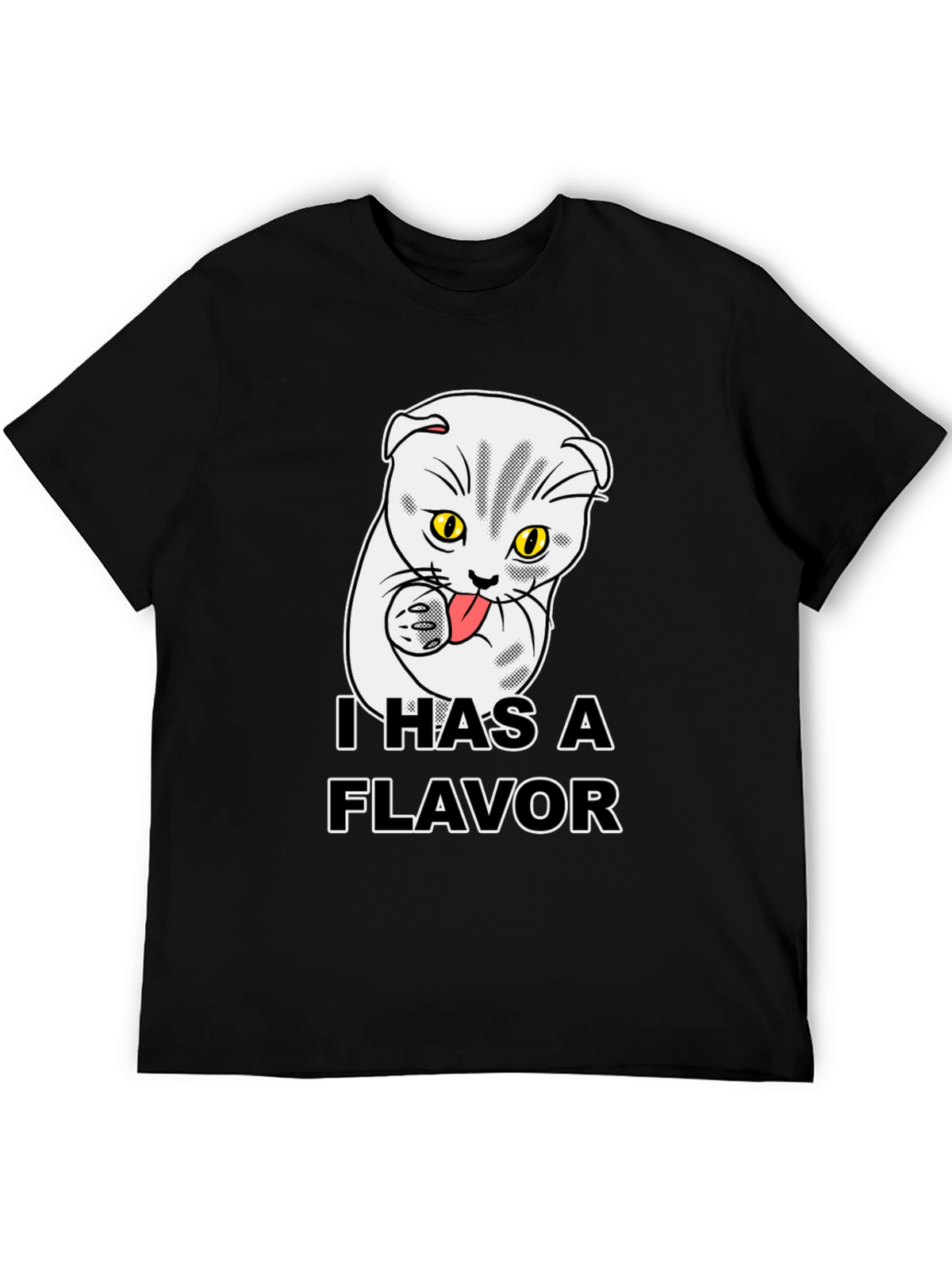 I Has A Flavor Funny Cat T-Shirt