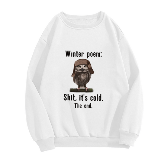 Winter Poem Funny Owl Crewneck Sweatshirt, Owl In Pilot Hat Pullover, Winter Humor Gift