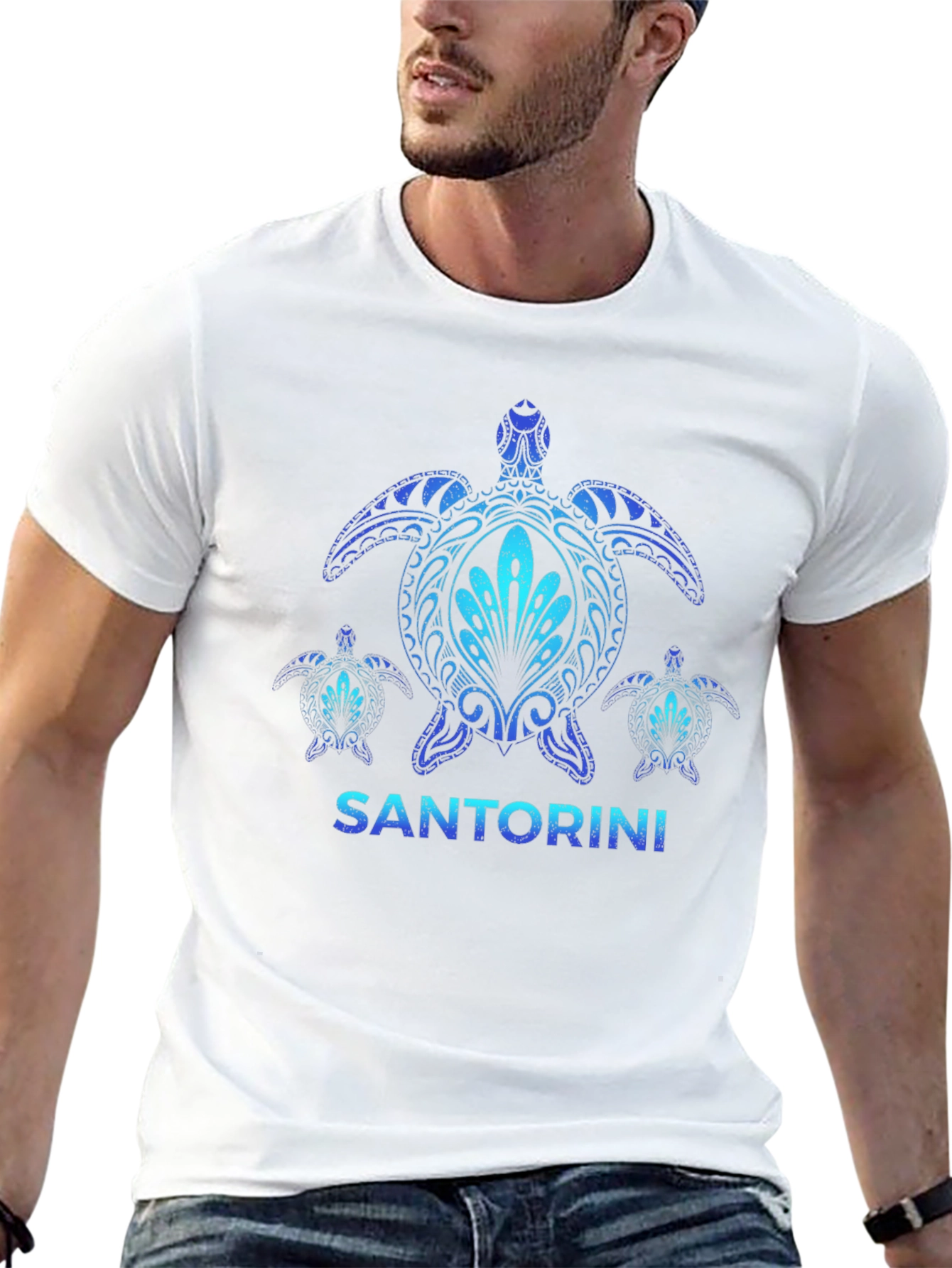 Santorini Turtle Graphic T-Shirt