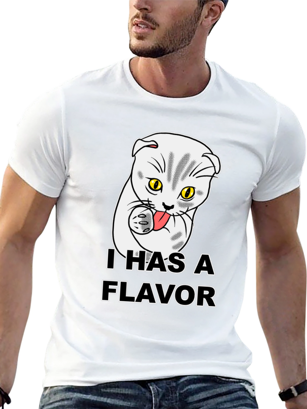 I Has A Flavor Funny Cat T-Shirt