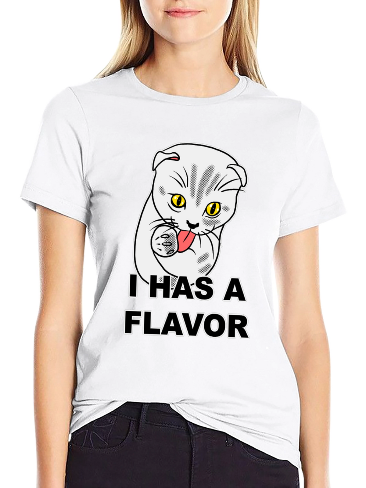 I Has A Flavor Funny Cat T-Shirt