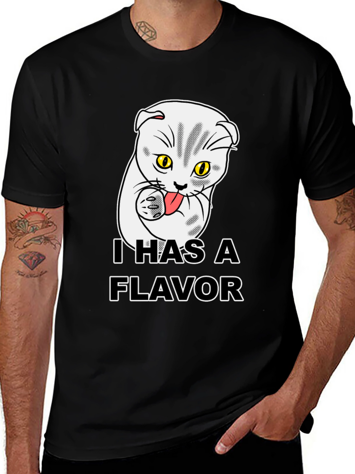 I Has A Flavor Funny Cat T-Shirt
