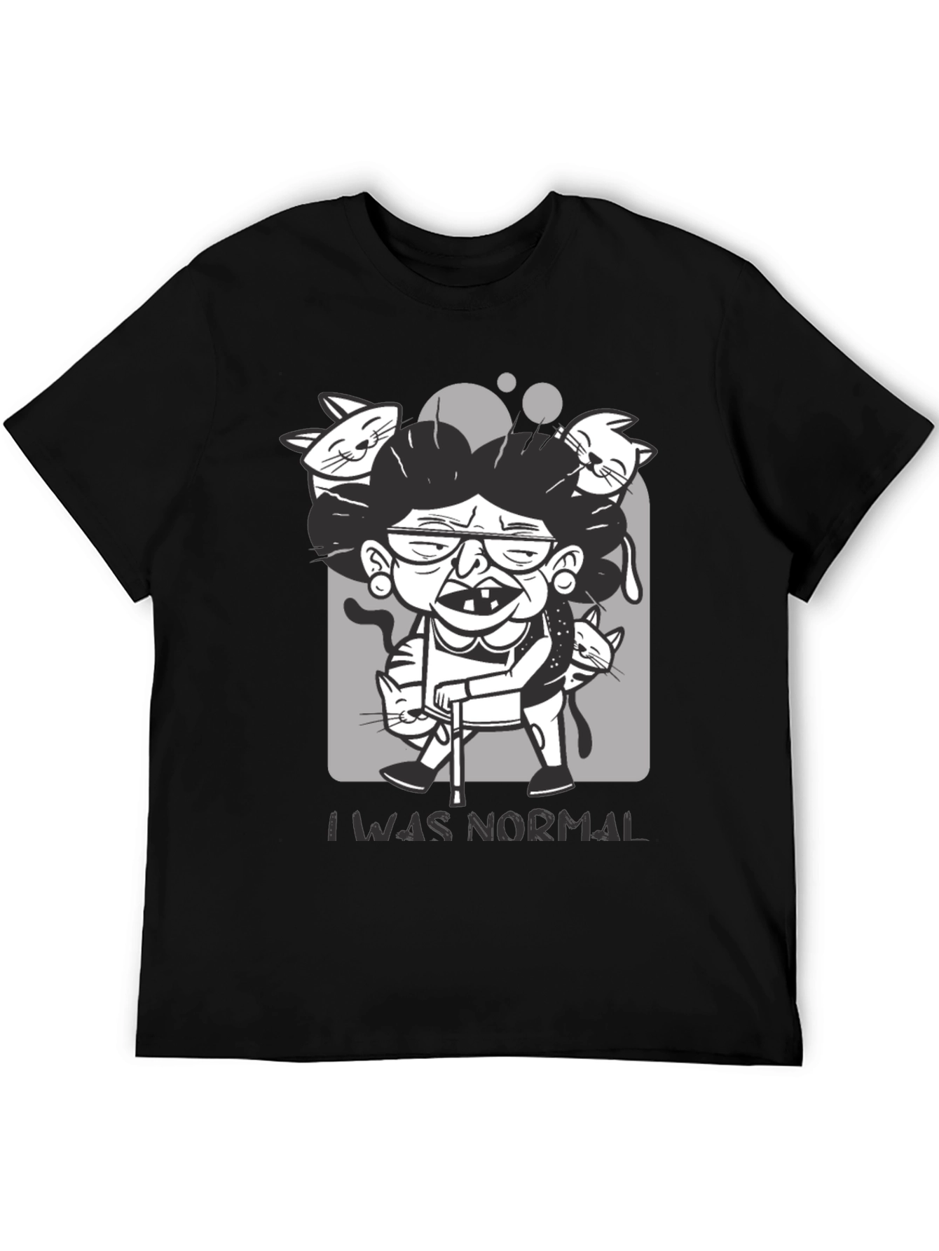 Crazy Cat Lady T-Shirt - I Was Normal