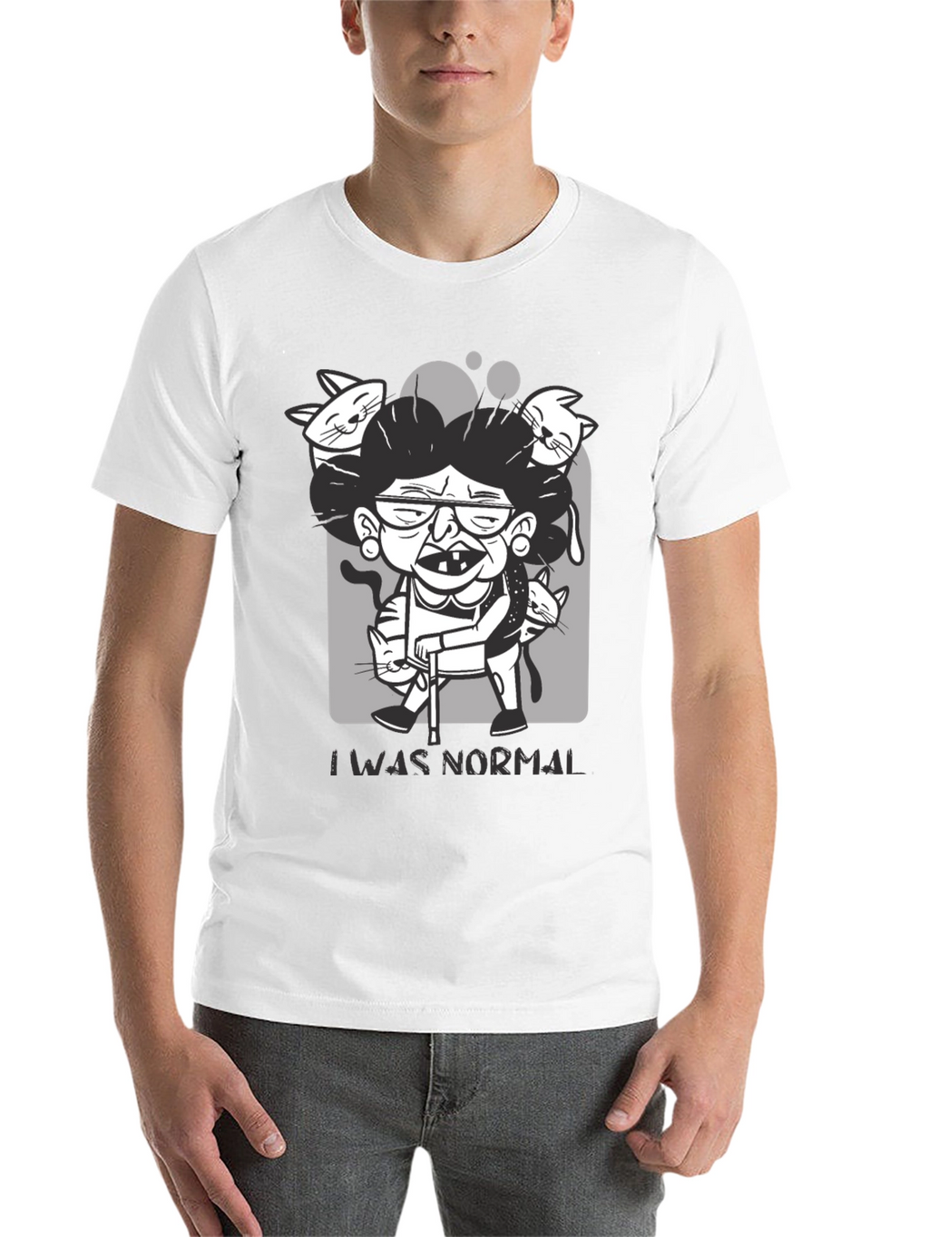 Crazy Cat Lady T-Shirt - I Was Normal