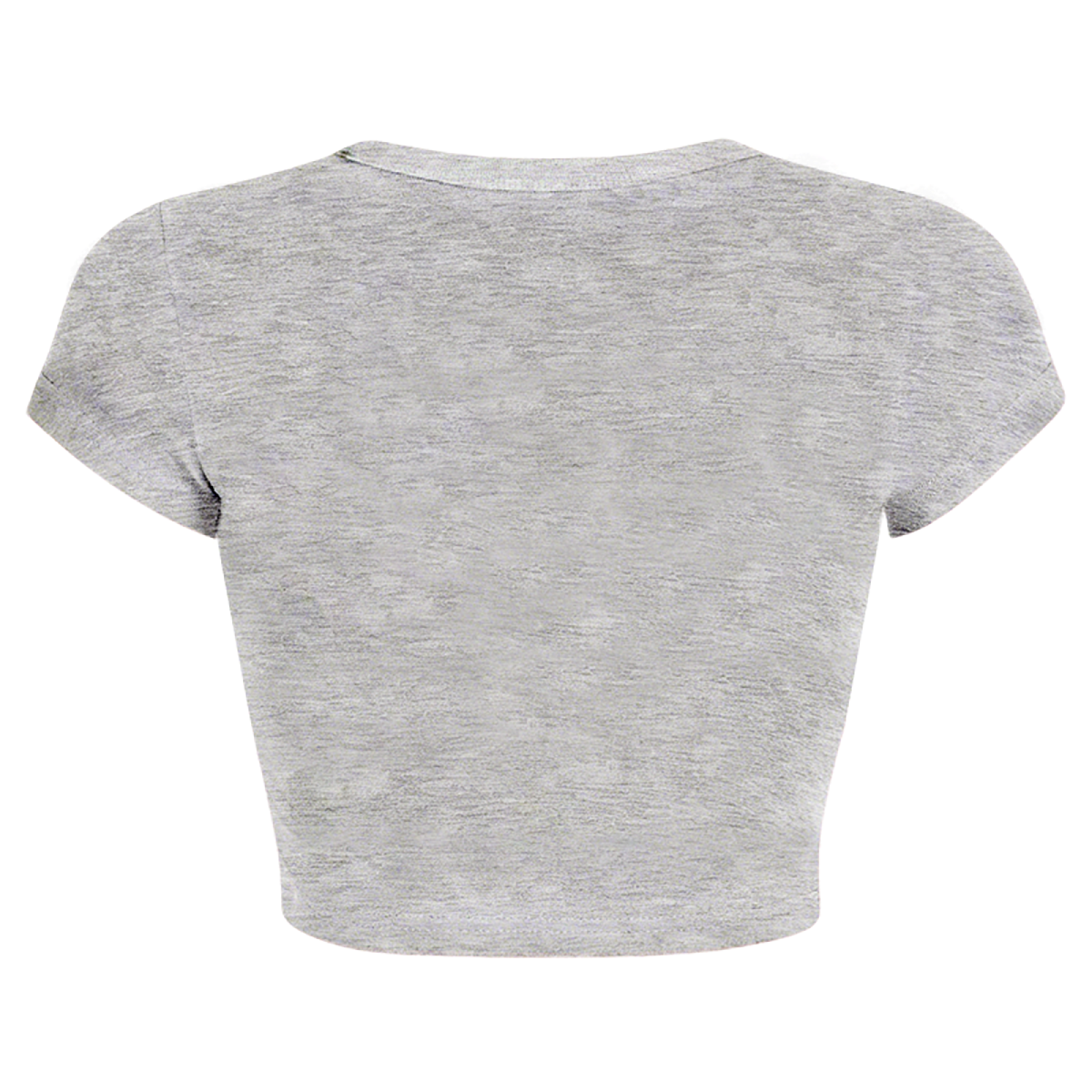 Abibliophobia Book Lover Funny Dictionary Grey Crop Top