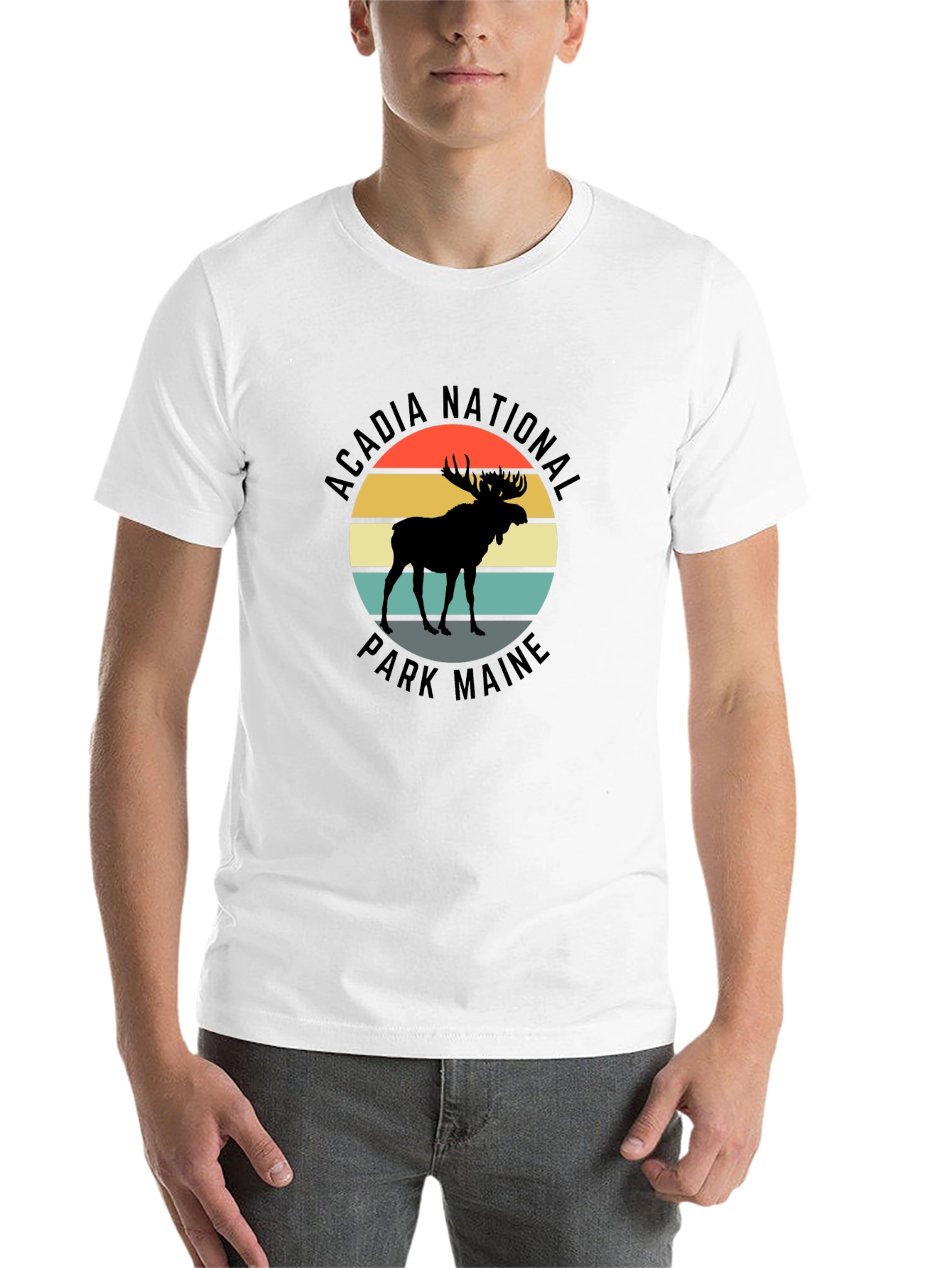 Acadia National Park Maine Moose T-Shirt