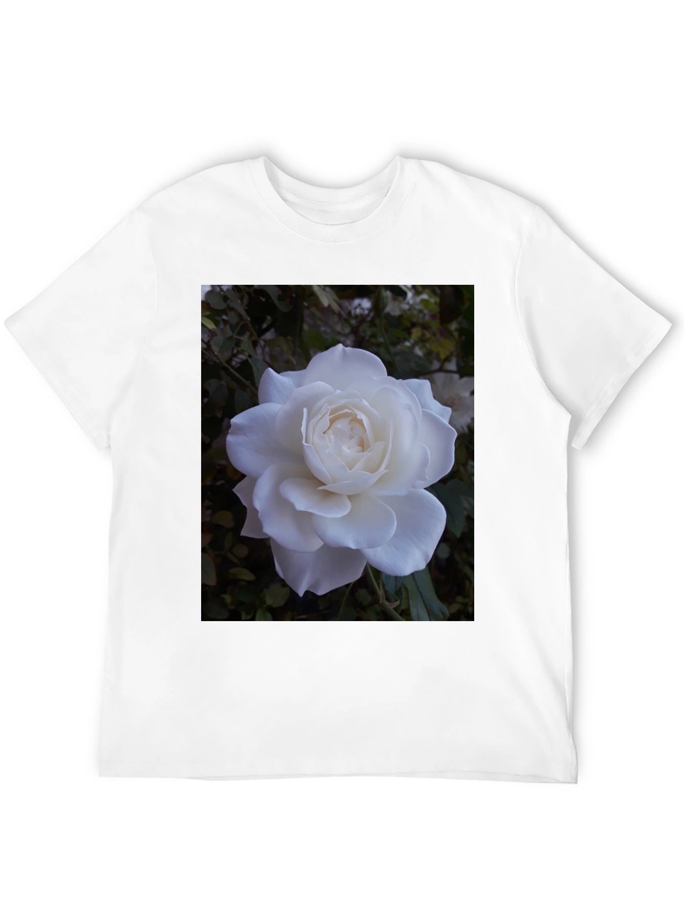 White Rose Graphic Black T-Shirt