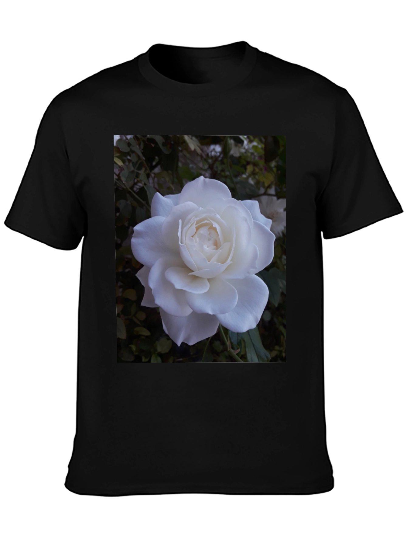 White Rose Graphic Black T-Shirt