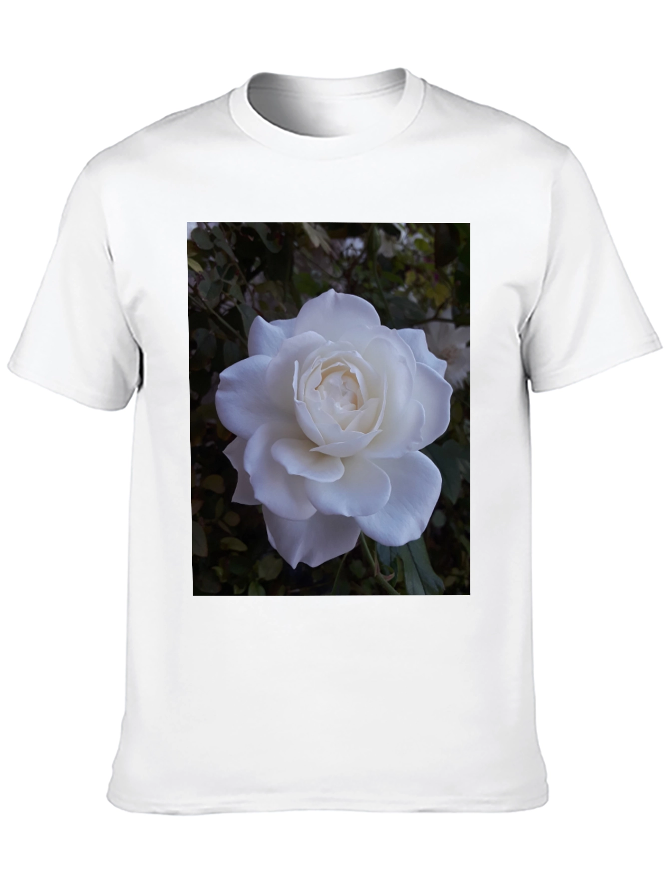 White Rose Graphic Black T-Shirt