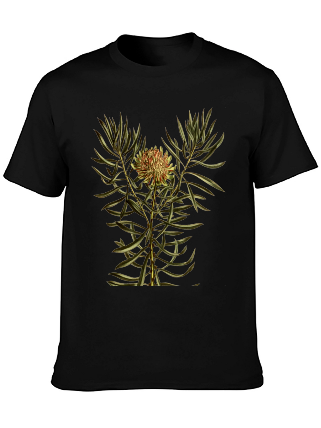 Botanical Print Black T-Shirt