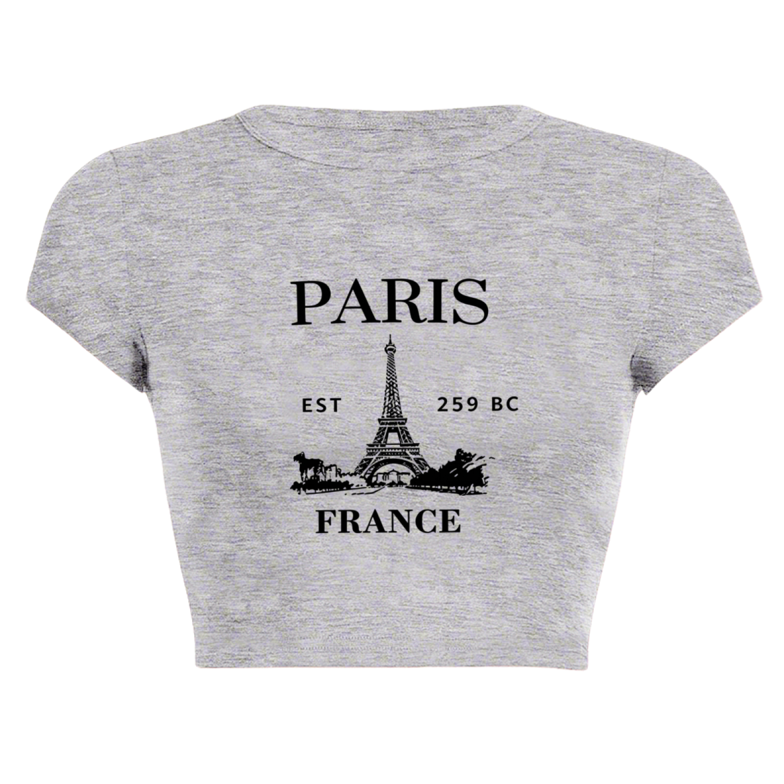 Retro Paris Eiffel Tower Grey Crop Tee ¨C Vintage Travel Aesthetic Top