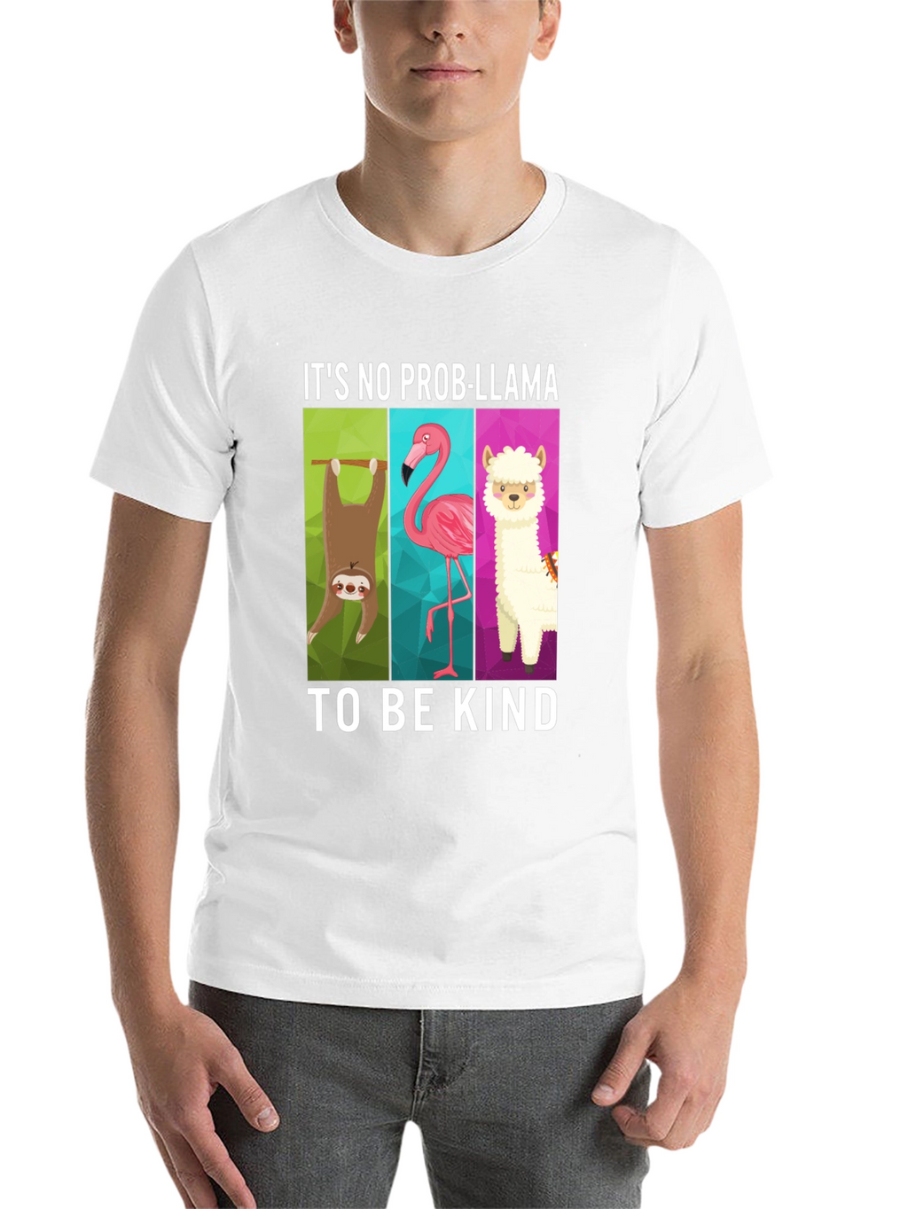 Its No Prob-Llama Graphic T-Shirt