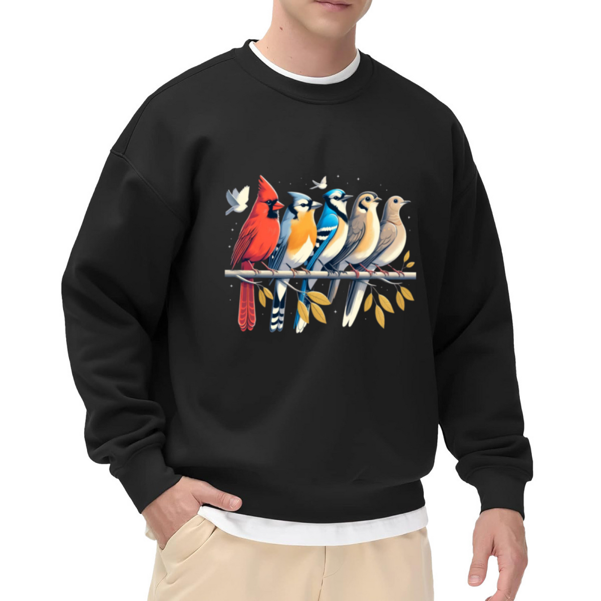 Colorful Garden Birds Sweatshirt | Cardinal Blue Jay Wildlife Graphic Crewneck, Hand-Drawn Bird Pullover Top, Bird Lover Gift for Women Men