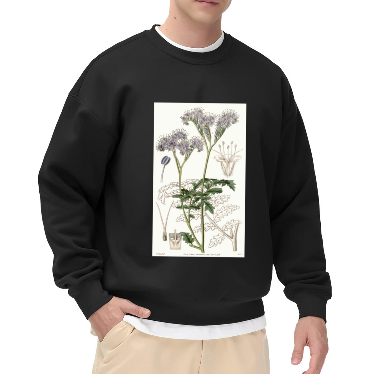 Vintage Botanical Illustration Sweatshirt | Hand-Drawn Wildflower Plant Diagram Crewneck, Retro Botanical Art Pullover Top, Plant Lover Gift
