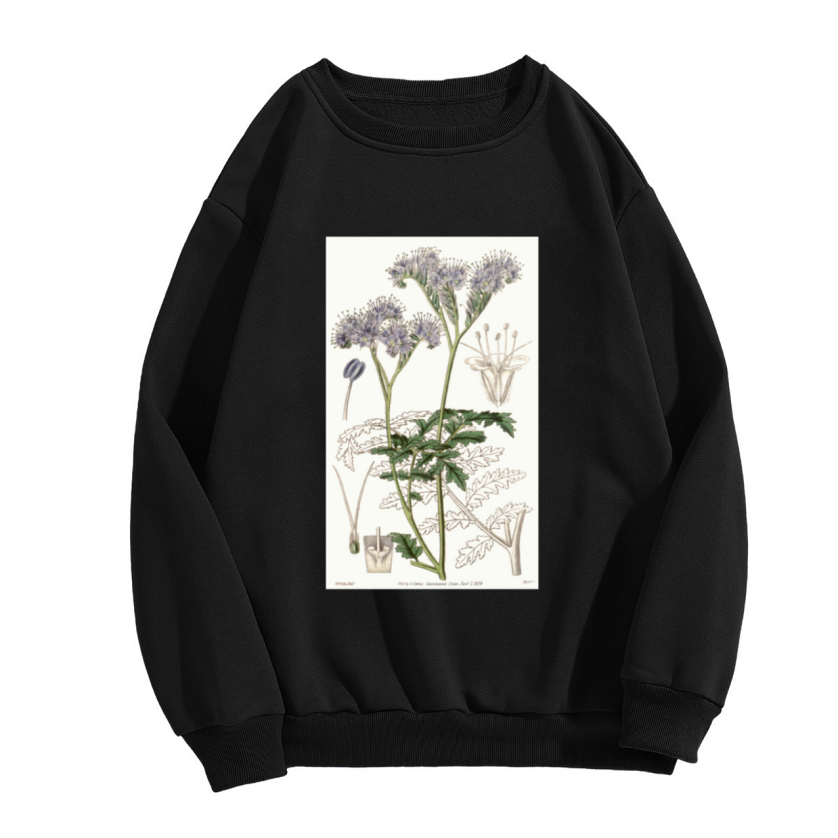 Vintage Botanical Illustration Sweatshirt | Hand-Drawn Wildflower Plant Diagram Crewneck, Retro Botanical Art Pullover Top, Plant Lover Gift