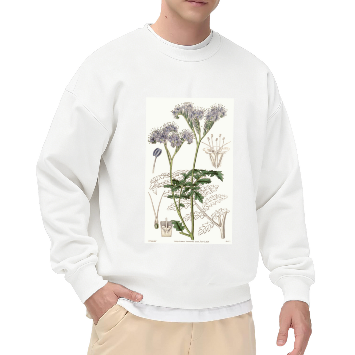 Vintage Botanical Illustration Sweatshirt | Hand-Drawn Wildflower Plant Diagram Crewneck, Retro Botanical Art Pullover Top, Plant Lover Gift