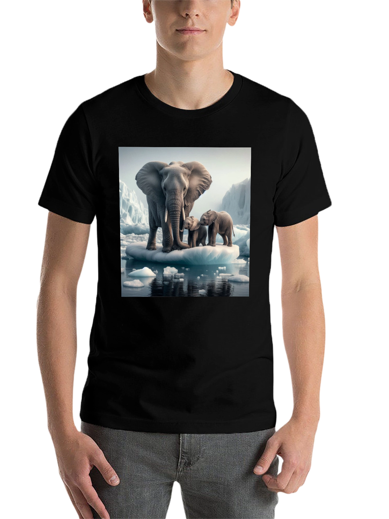 Elephant Family on Iceberg Graphic T-Shirt