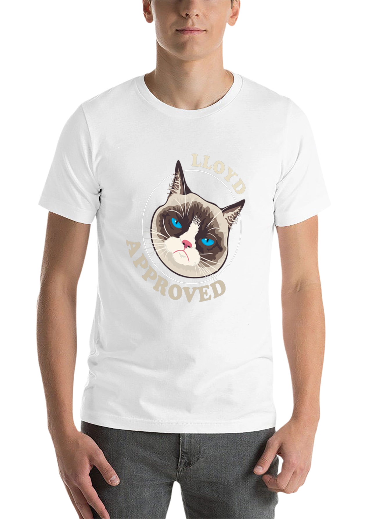 Grumpy Cat Lloyd Approved Black T-Shirt