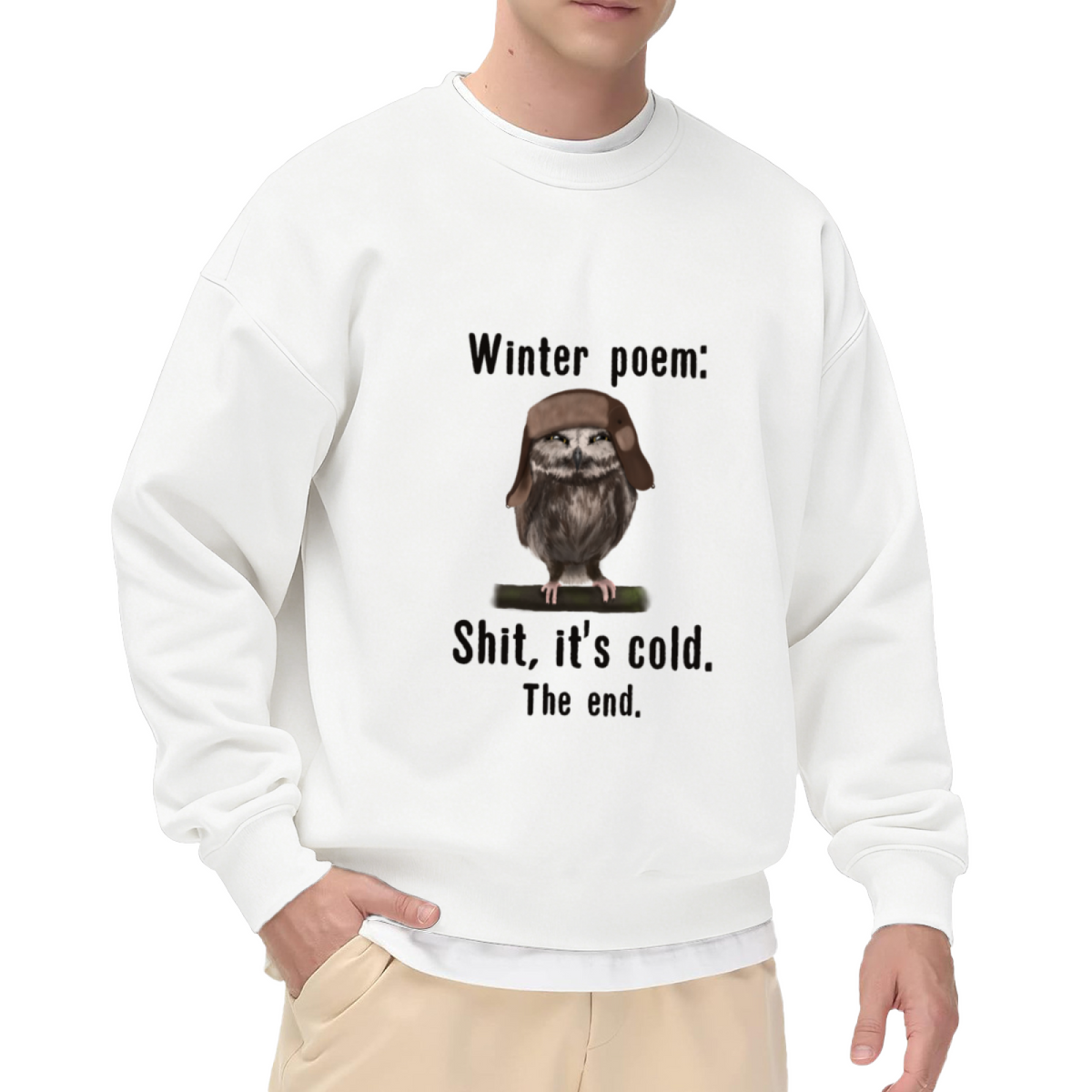 Winter Poem Funny Owl Crewneck Sweatshirt, Owl In Pilot Hat Pullover, Winter Humor Gift