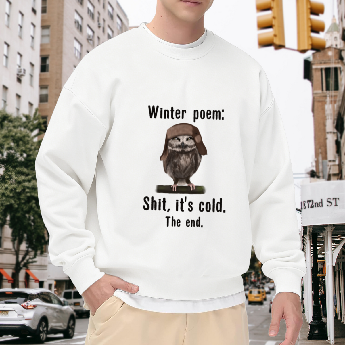 Winter Poem Funny Owl Crewneck Sweatshirt, Owl In Pilot Hat Pullover, Winter Humor Gift