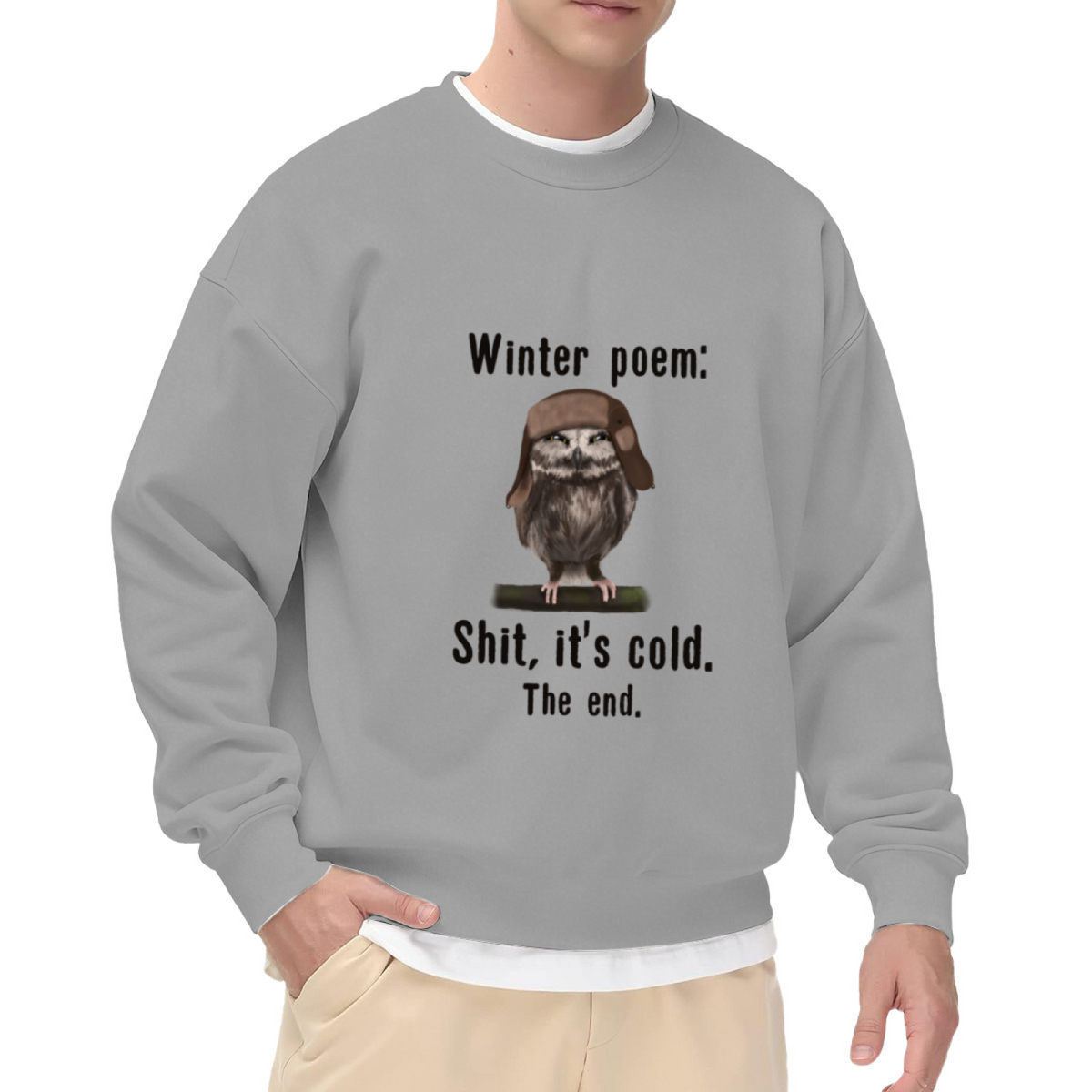 Winter Poem Funny Owl Crewneck Sweatshirt, Owl In Pilot Hat Pullover, Winter Humor Gift