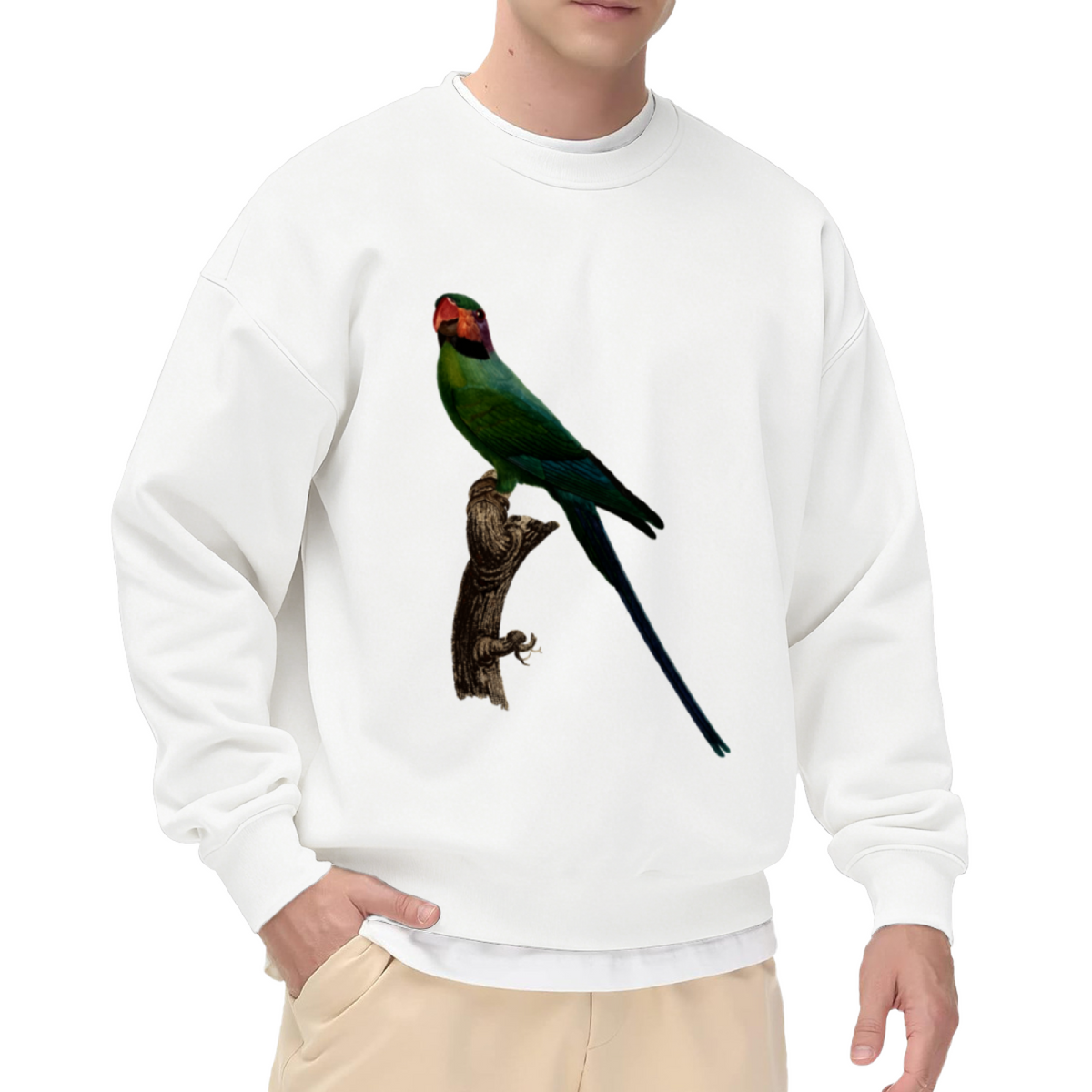 Long Tailed Parrot Sweatshirt | Vintage Hand-Drawn Bird Graphic Crewneck, Realistic Wildlife Pullover Top, Bird Lover Gift for Women Men