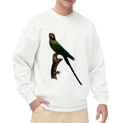 Long Tailed Parrot Sweatshirt | Vintage Hand-Drawn Bird Graphic Crewneck, Realistic Wildlife Pullover Top, Bird Lover Gift for Women Men