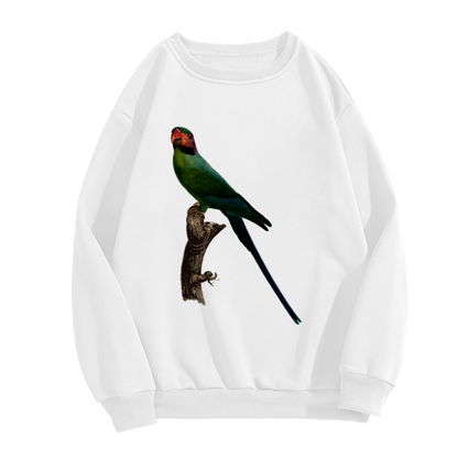 Long Tailed Parrot Sweatshirt | Vintage Hand-Drawn Bird Graphic Crewneck, Realistic Wildlife Pullover Top, Bird Lover Gift for Women Men