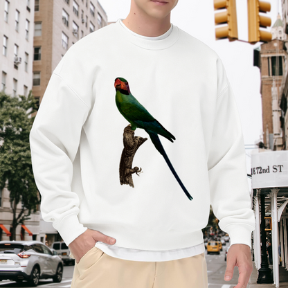 Long Tailed Parrot Sweatshirt | Vintage Hand-Drawn Bird Graphic Crewneck, Realistic Wildlife Pullover Top, Bird Lover Gift for Women Men