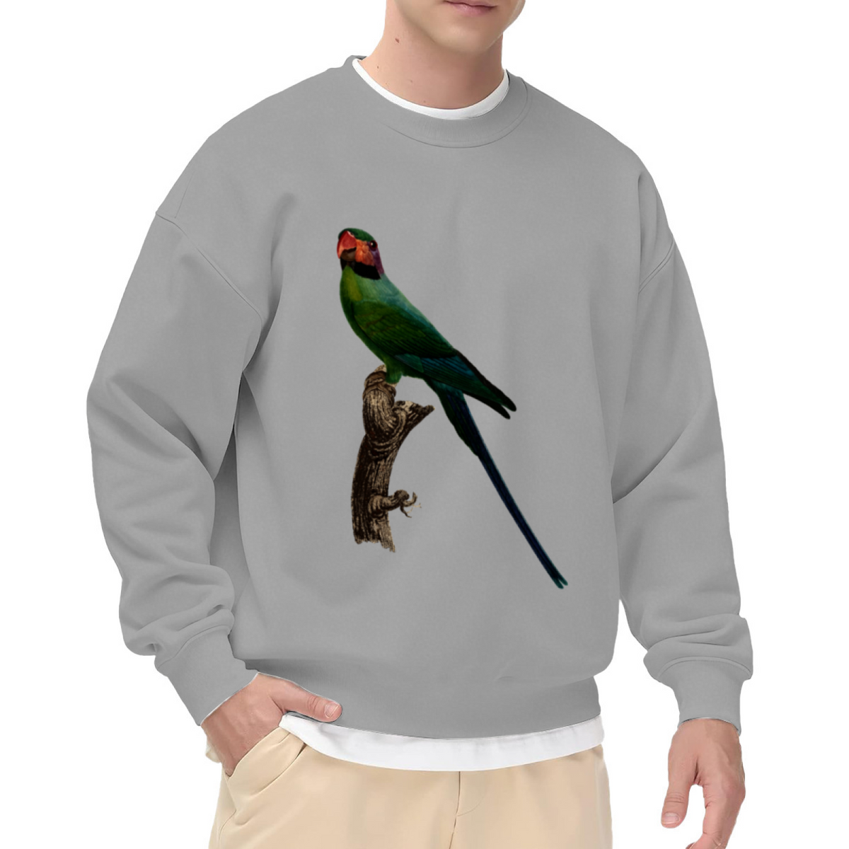 Long Tailed Parrot Sweatshirt | Vintage Hand-Drawn Bird Graphic Crewneck, Realistic Wildlife Pullover Top, Bird Lover Gift for Women Men