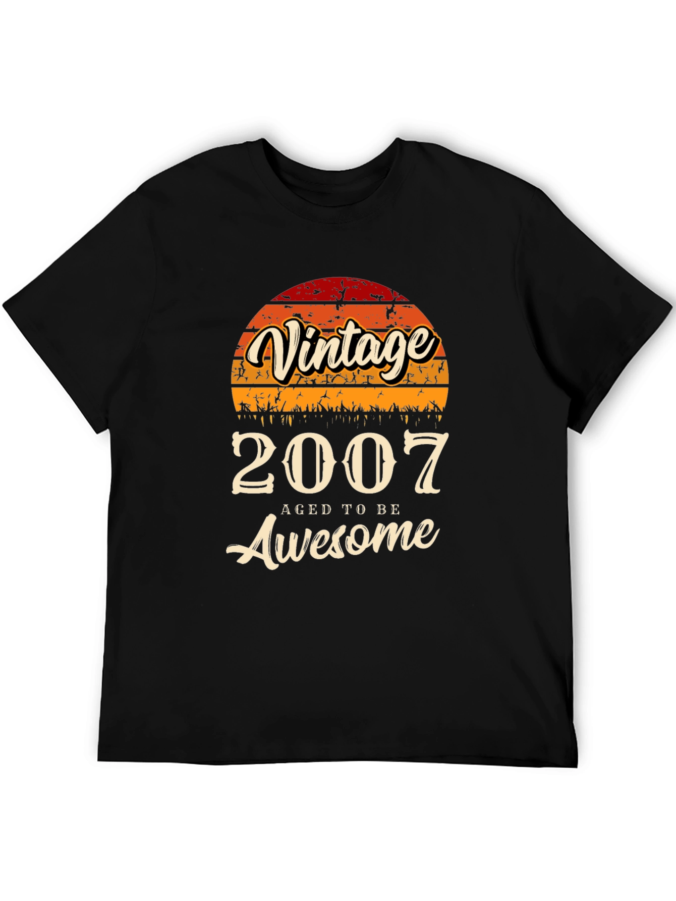Vintage 2007 Aged to Be Awesome T-Shirt