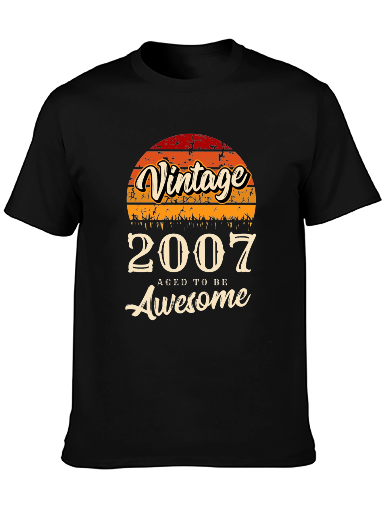Vintage 2007 Aged to Be Awesome T-Shirt