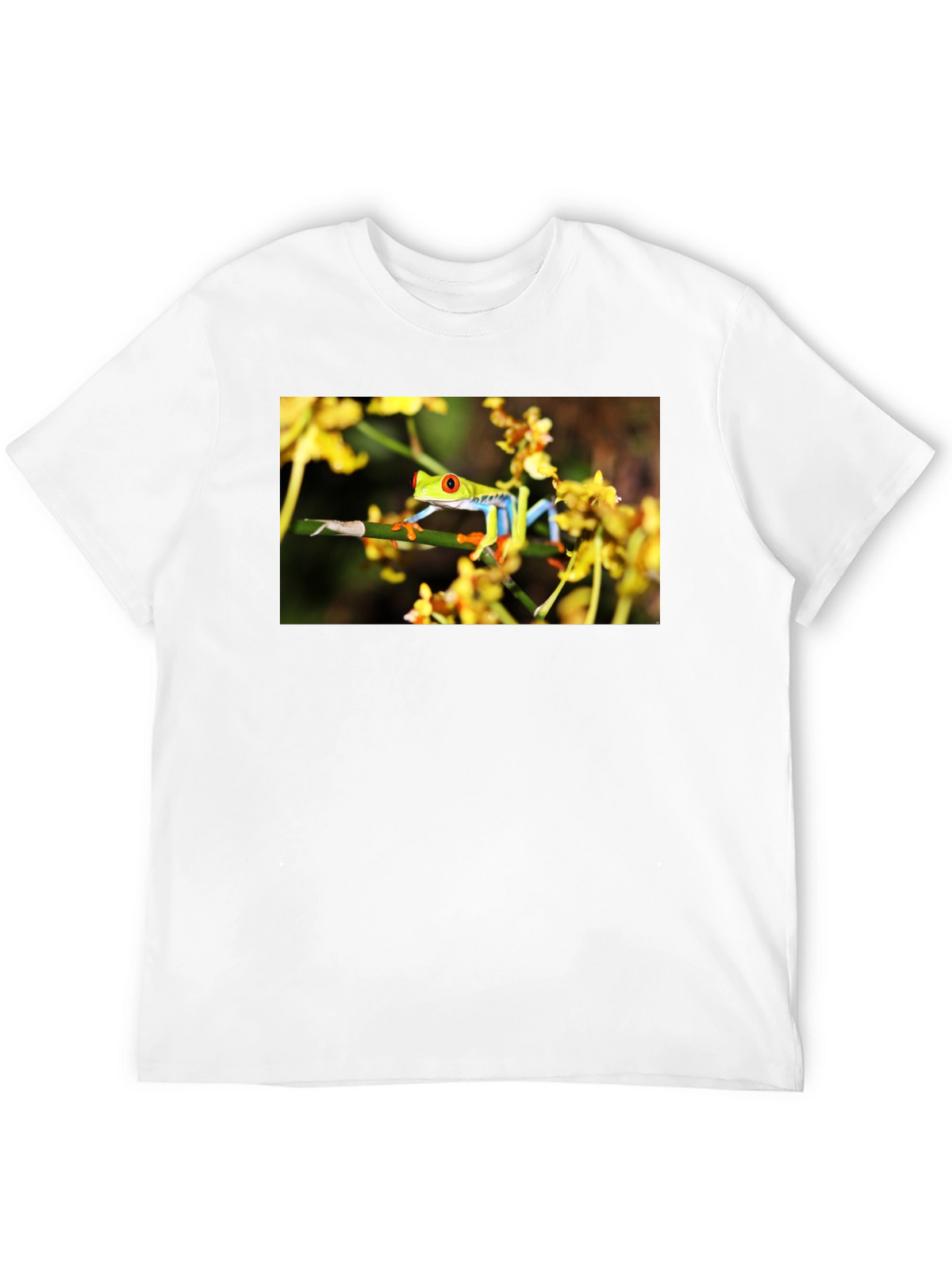 Red Eyed Tree Frog Graphic T-Shirt
