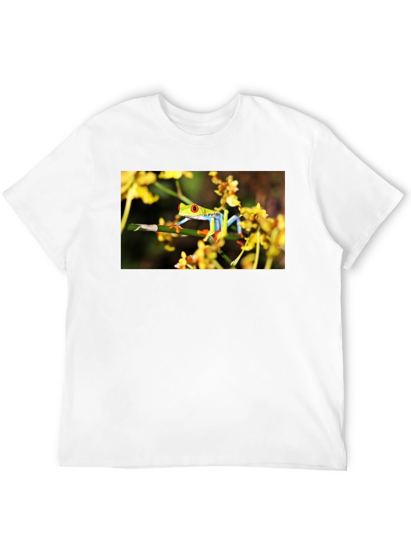 Red Eyed Tree Frog Graphic T-Shirt