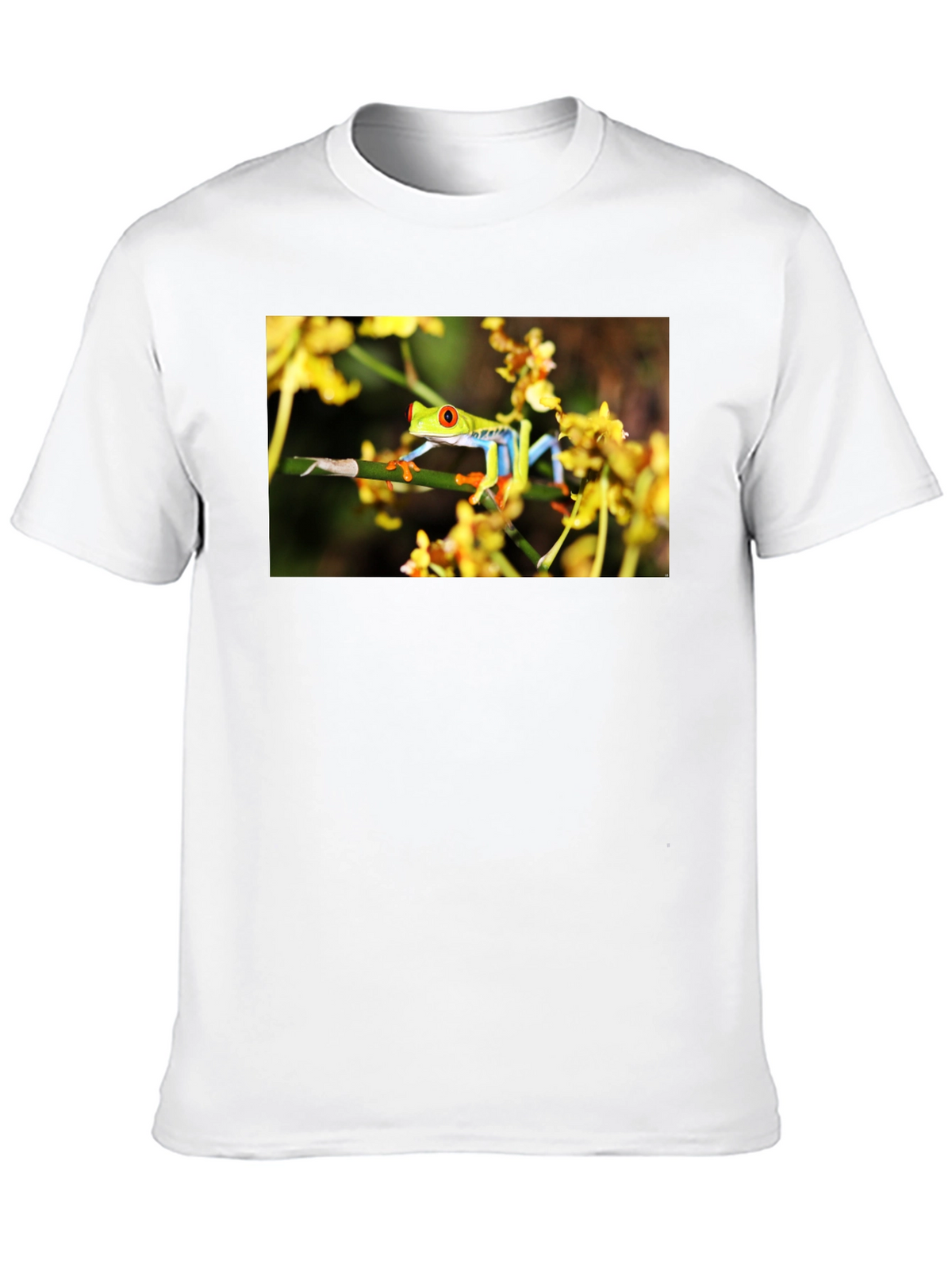 Red Eyed Tree Frog Graphic T-Shirt