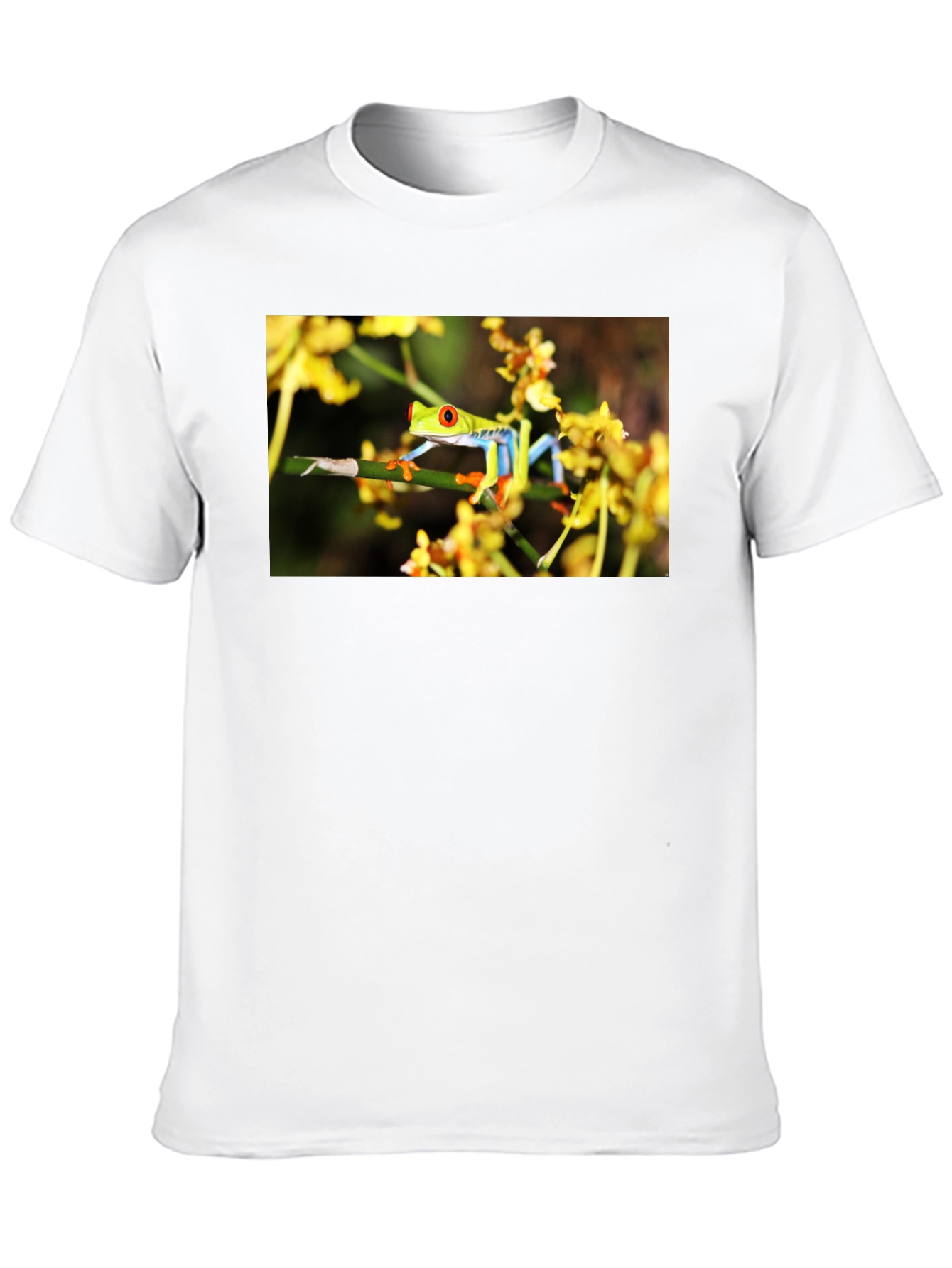 Red Eyed Tree Frog Graphic T-Shirt