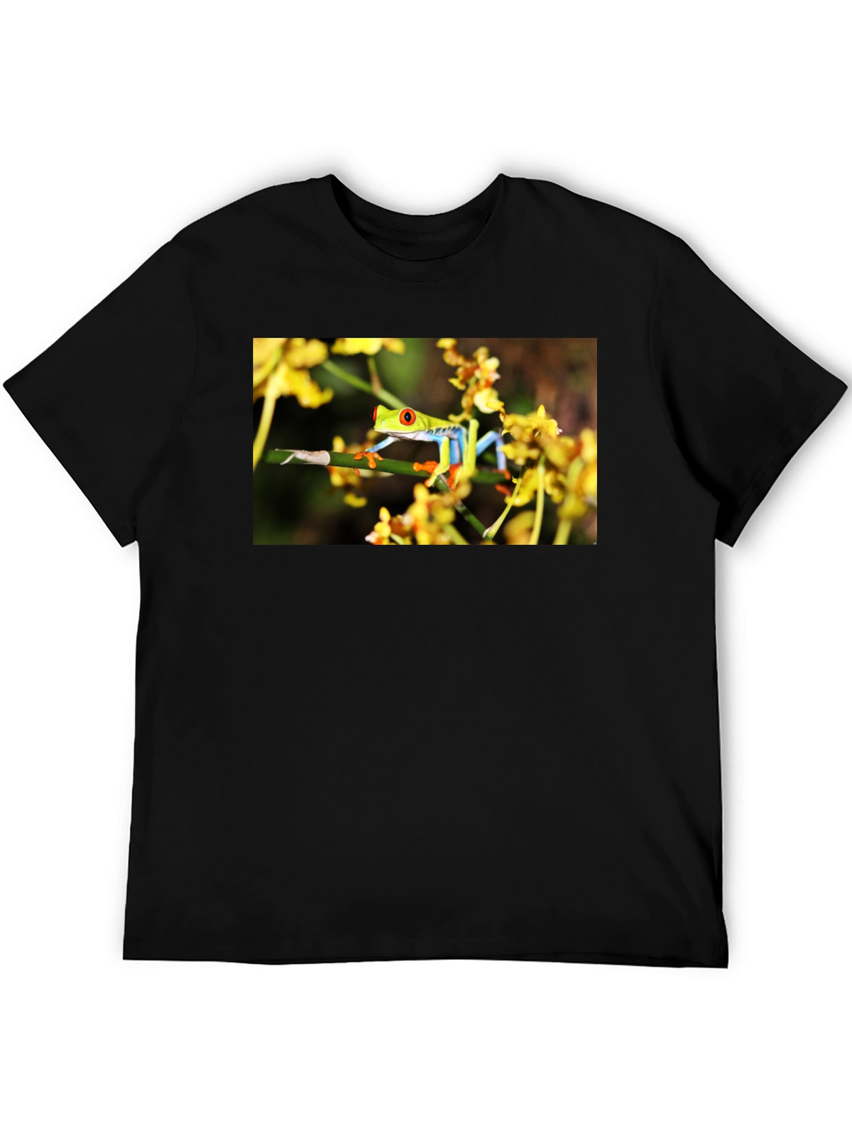 Red Eyed Tree Frog Graphic T-Shirt