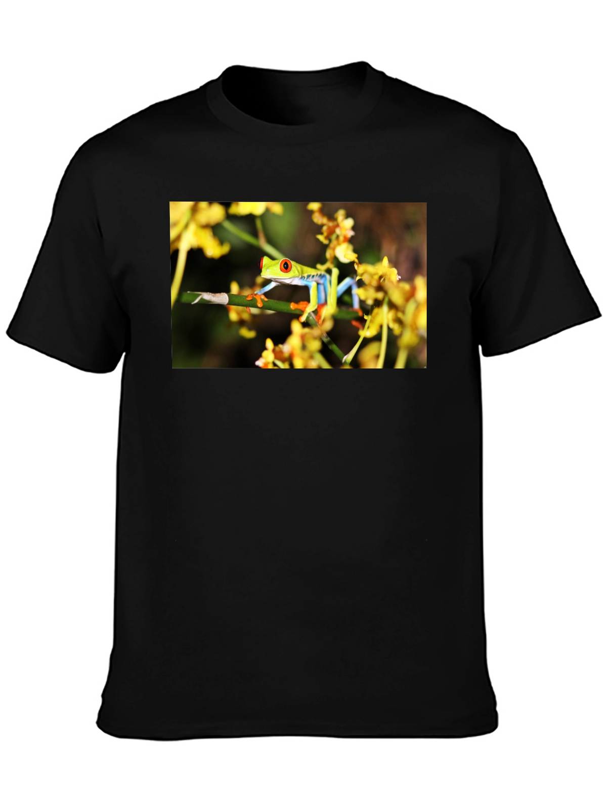 Red Eyed Tree Frog Graphic T-Shirt