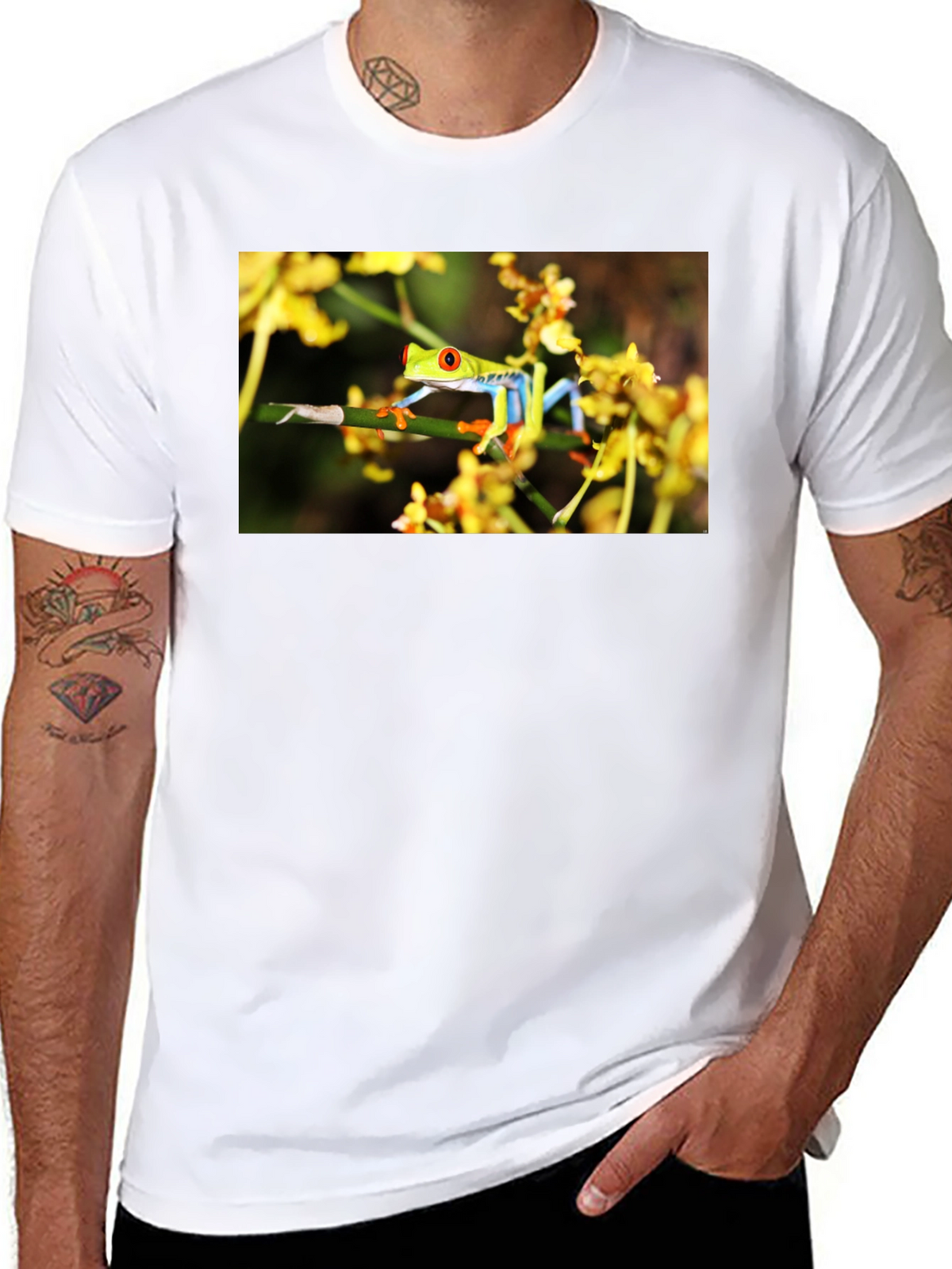 Red Eyed Tree Frog Graphic T-Shirt