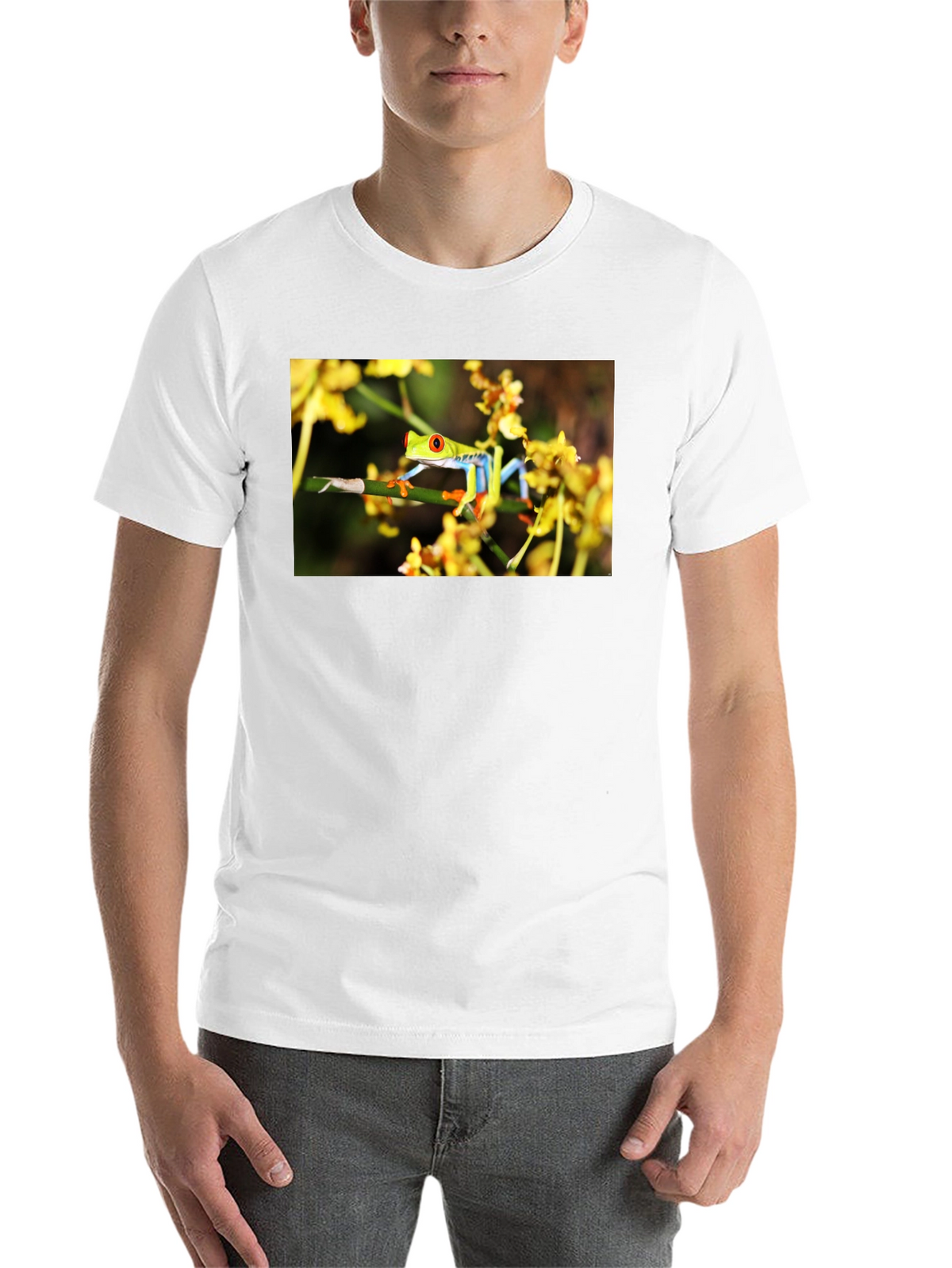 Red Eyed Tree Frog Graphic T-Shirt