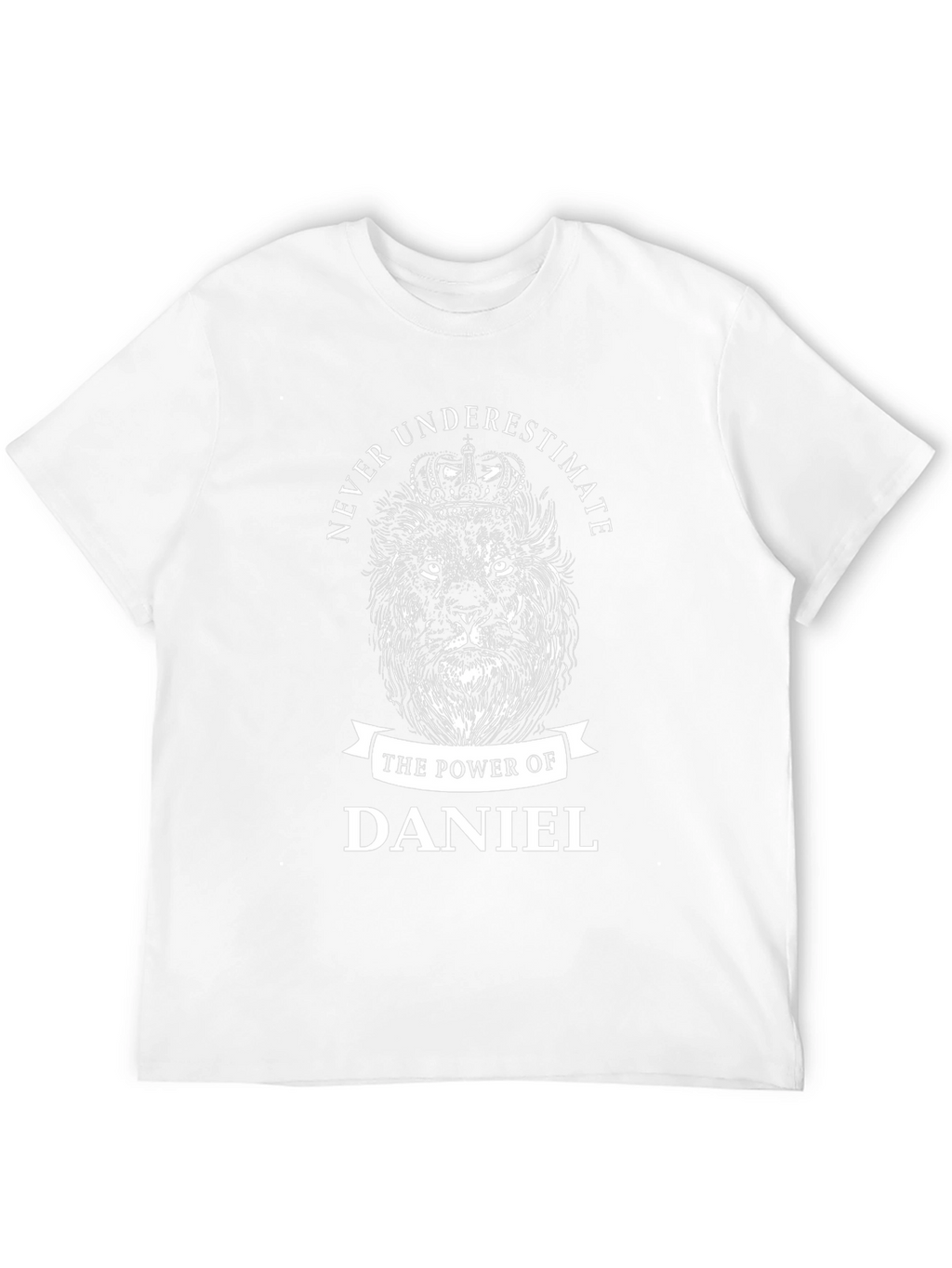 Never Underestimate Daniel T-Shirt