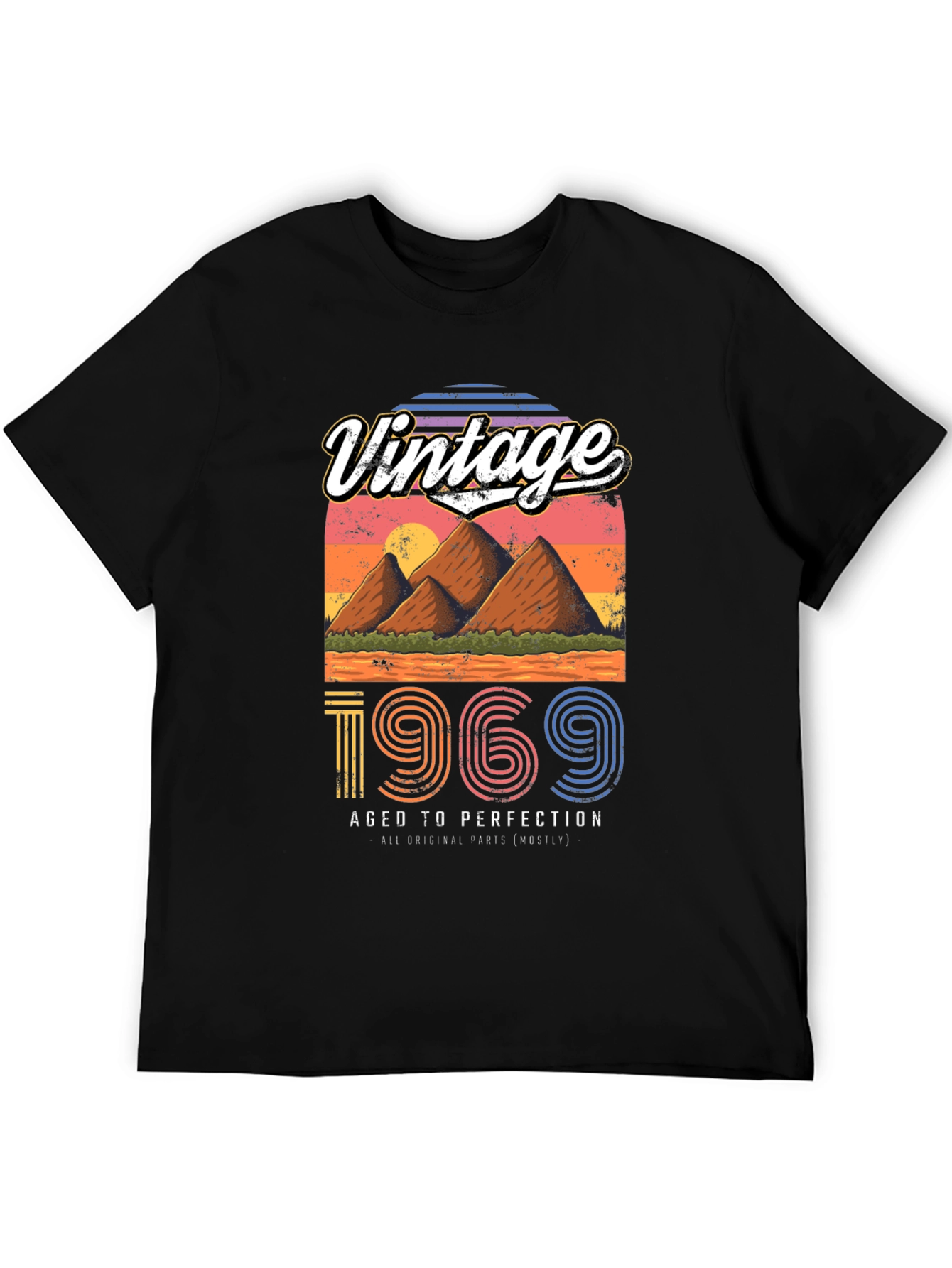 Vintage 1969 Aged To Perfection T-Shirt