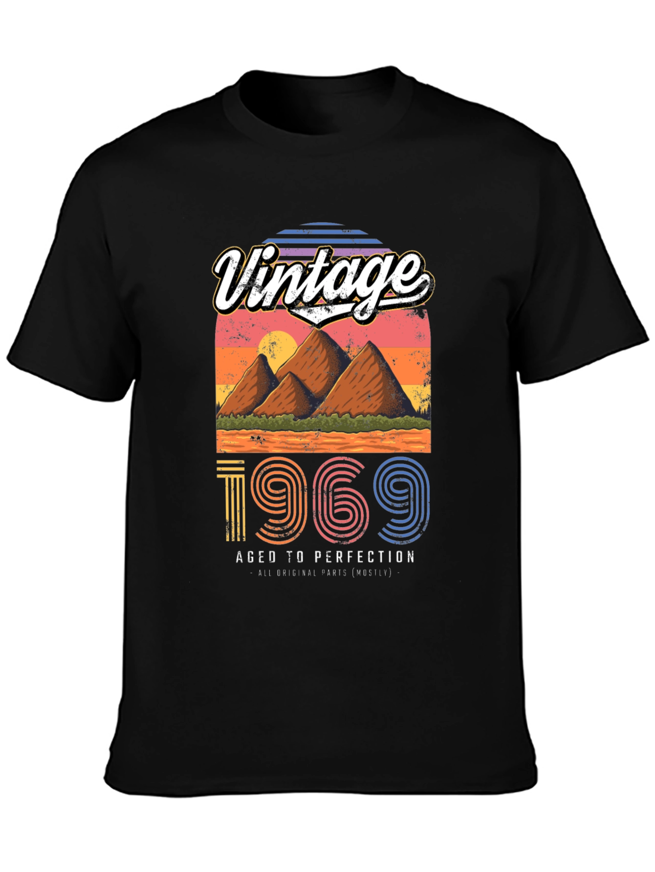 Vintage 1969 Aged To Perfection T-Shirt