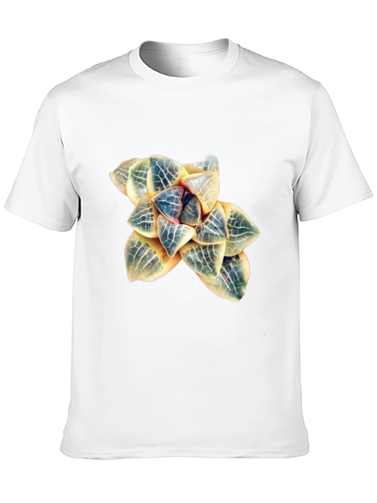 Botanical Haworthia T-Shirt