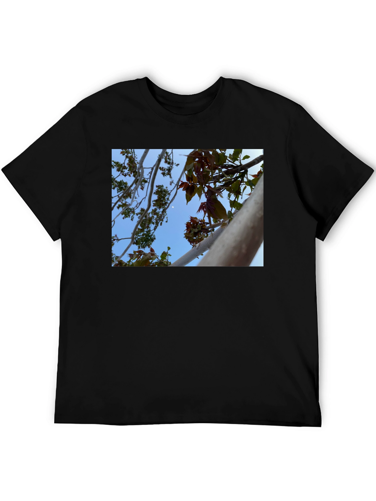 Nature View T-Shirt - Branches & Sky Design