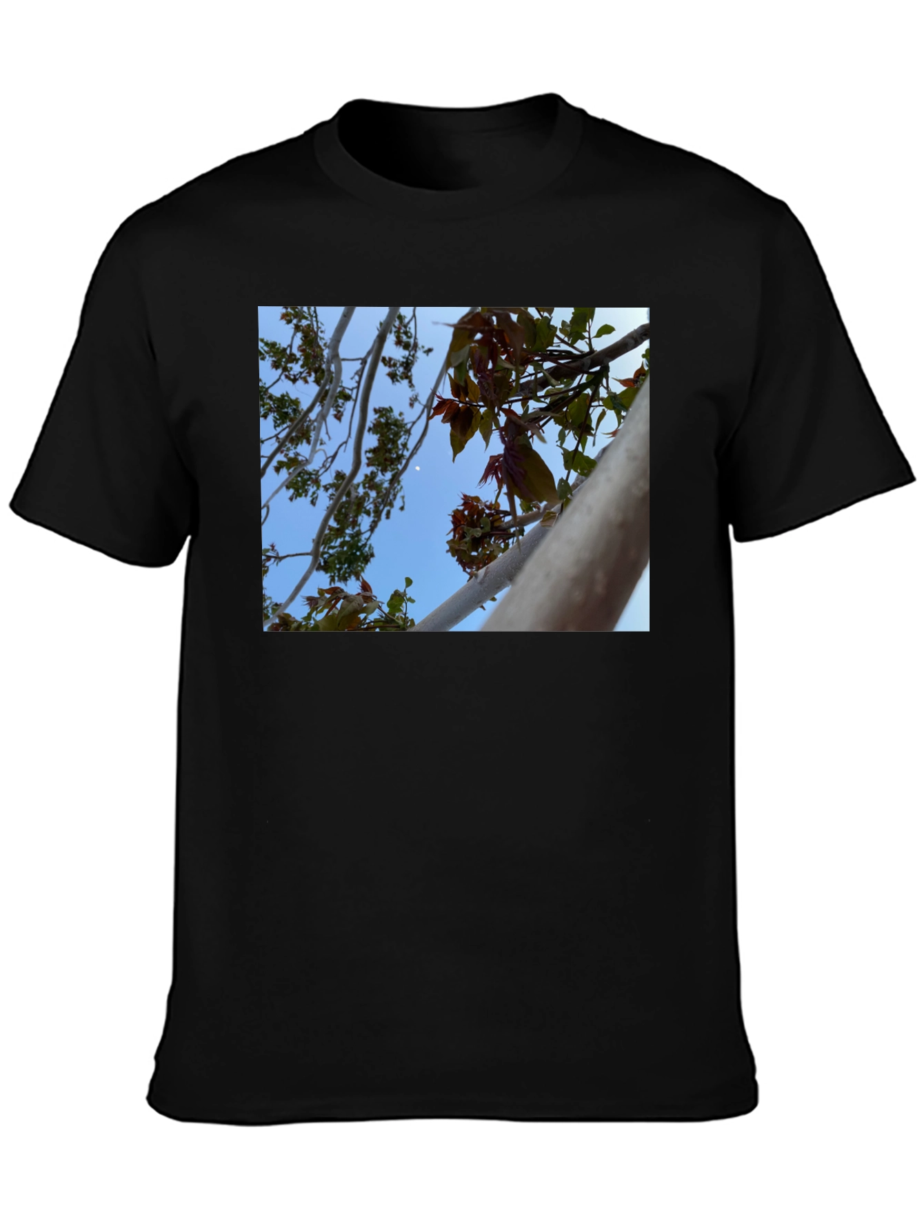 Nature View T-Shirt - Branches & Sky Design