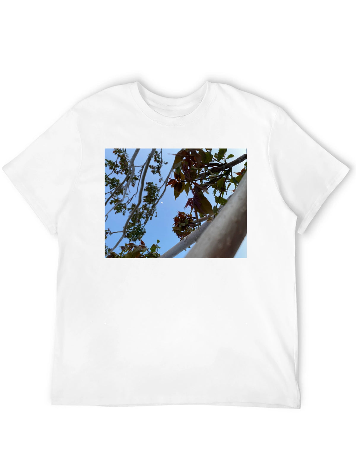 Nature View T-Shirt - Branches & Sky Design